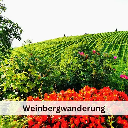 Hirschperle - Black Forest *