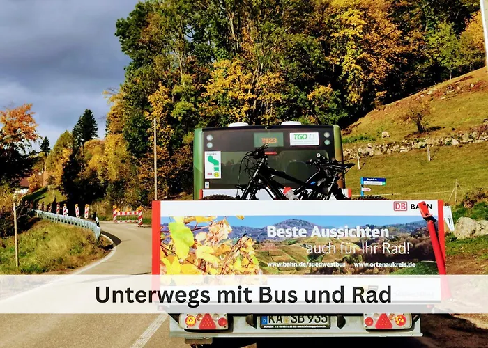 Hirschperle - Black Forest Апартаменты *